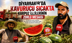 Diyarbakır'da kavurucu sıcakta karpuz işçilerinin zorlu mesaisi