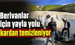 Berivanlar için 3 bin 300 rakımlı yaylada çalışma sürüyor