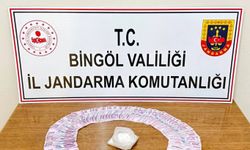 Bingöl'de asayiş operasyon: 32 şüpheli yakalandı