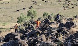 Bitlis'te çıkan yangında 500 dönüm kül oldu