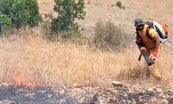 Diyarbakır'da örtü ve orman yangını