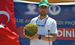 Çukobirlik 2026 ayçiçeği alım fiyatlarını ve alım takvimini açıkladı