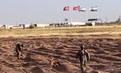 Öncüpınar Sınır Hattı'nda mayın temizleme çalışmaları sürüyor