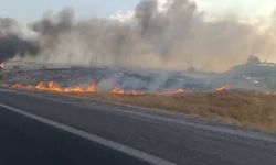 Diyarbakır yolunda anız yangını! Ekipler bölgeye sevk edildi