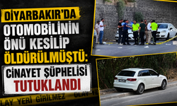 Diyarbakır'da aracının önü kesilip öldürülmüştü: C!nayet şüphelisi tutuklandı