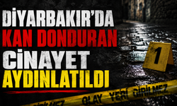 Diyarbakır'da kan donduran olay aydınlatıldı: 8 gözaltı