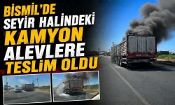 Diyarbakır'da seyir halindeki kamyon alevlere teslim oldu