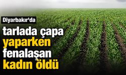 Diyarbakır'da tarlada çapa yaparken fenalaşan kadın öldü