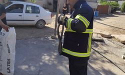 Diyarbakır'da yaklaşık 2 metrelik yılan eve girdi