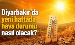 Diyarbakır'da yeni haftada hava durumu nasıl olacak?