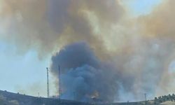 Elazığ'da çıkan arazi yangını söndürüldü