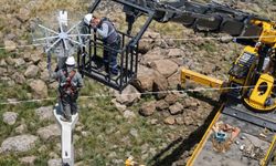 Elektrik direkleri göçmen kuşlar için yuvaya dönüşüyor