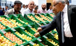 "En İyi Kayısı" yarışmasında ödüller sahiplerini buldu