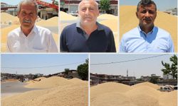 Ğretici ve tüccardan TMO'ya "ÇKS" çağrısı