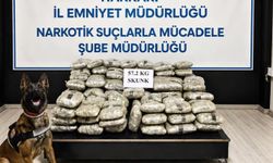 Hakkari'de 57,2 kilogram skunk ele geçirildi
