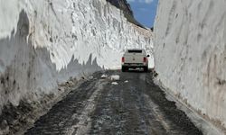 Hakkari'de temmuzda 8 metrelik kar tünelleri