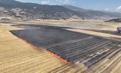 Hasat edilen tarlada çıkan alevler kısa sürede yayıldı