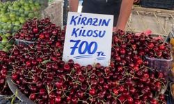 Diyarbakır'da geçen yıl 700 TL'ydi, bu yıl fiyatı adeta çakıldı