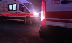 Malatya’da dut ağacı kavgası: Silahlı kavgada 3 yaralı
