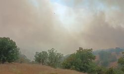 Malatya'da ormanlık alanda çıkan yangına müdahale ediyor
