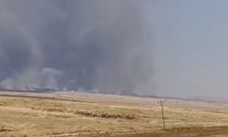 Mardin’de arpa ekili tarlada yangın: Yaklaşık 10 dönüm alan yandı