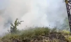 Mezarlık yangınına itfaiye müdahale etti