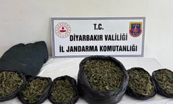 Diyarbakır'da onlarca kilo esrar ele geçirildi