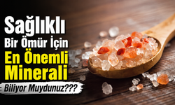 Sağlıklı bir ömür için en önemli minerali biliyor muydunuz?