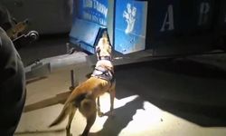 Şanlıurfa'da traktör kasasında bakın ne çıktı?