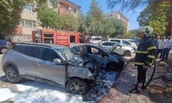 Siirt'te park halindeki iki otomobil alevlere teslim oldu