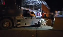 Şırnak'ta tırda 5,8 kilo zehir ele geçirildi