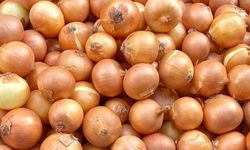 Eskiden çuvalla alınıyordu, şimdi tane tane... Kilogram fiyatı şaşırttı