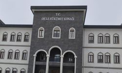 Dicle'de 6 ayda 3 bin 527 kök kenevir ele geçirildi