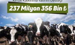 Tarımsal destek ödemesi çiftçilerin hesaplarına aktarılacak
