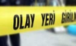 Tatvan'da yük treninin çarptığı yaşlı kadın hayatını kaybetti