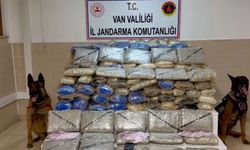 Van'da durdurulan tırdan 333 kilo skunk çıktı