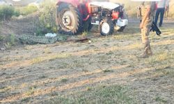 Van'da traktör kazasında 1 kişi hayatını kaybetti