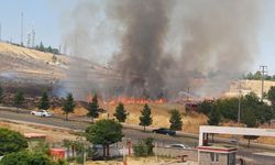Diyarbakır'da yerleşim yerine yakın otluk alanda yangın