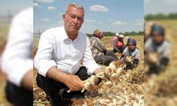 Altun'dan tarım mesajı