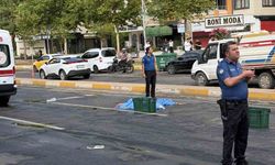 Diyarbakır'da yolun karşısına geçmeye çalışırken hayatını kaybetti
