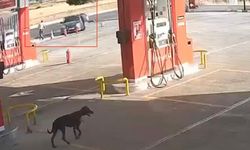 2 kişinin öldüğü, 5 kişinin yaralandığı silahlı kavga kameraya yansıdı