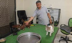 Diyarbakır'da milyonluk güvercinleri "azılı düşmanları" koruyor
