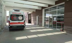 Parkta dengesini kaybedip demire çarpan şahıs yaralandı