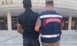 Şanlıurfa'da kesinleşmiş hapis cezası bulunan hükümlü yakalandı