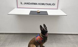 Şanlıurfa'da narkotik operasyonu: Bir tutuklama