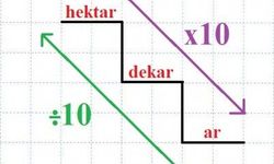 Arazi ölçü birimleri nelerdir? Ar, dekar, dönüm ve hektar hesaplama