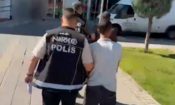 Bingöl’de 80 kök Hint keneviri ele geçirildi