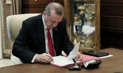 "Çerçeve yasa" Resmî Gazete'de yayımlandı, Resmen yürürlükte
