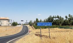Diyarbakır’daki kuduz vakası ile ilgili Valilikten açıklama