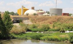 DİSKİ'nin arıtma tesisi Dicle Nehri ve çevredeki vatandaşları zehirliyor